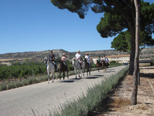 Spain-Central Spain-Vineyard Trail - Ruta del Vino
